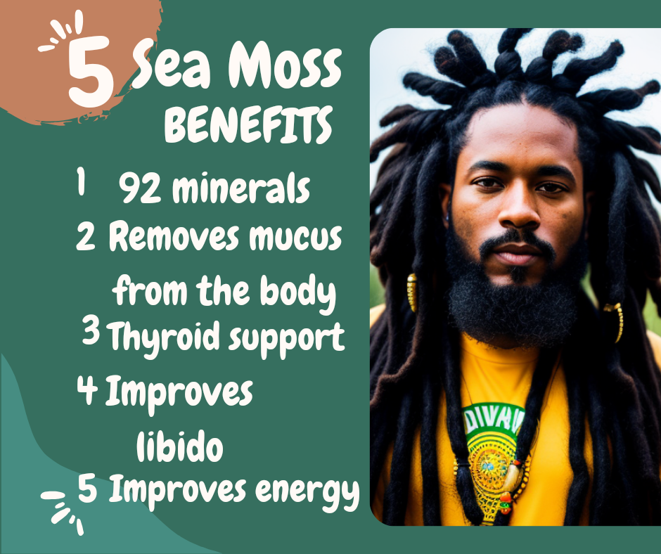 Kingston Supreme™ Sea Moss